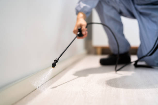 Licensed Pest Control service in Garden Ridge, TX - Show Me Pest Control