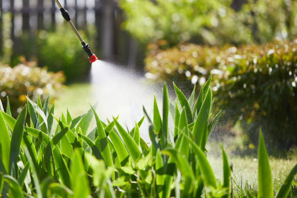 24/7 Emergency Wasp Removal experts in Garden Ridge, TX